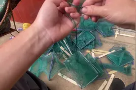 兄弟们，这样绑出来的地笼贼好用👍下黄鳝笼想要爆仓，想要下大货