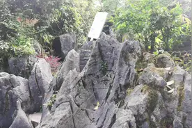 你现在有病吗，还是你没病，医生说了不算，谁说了算？？？？视频封面
