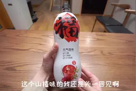 网上很火的山楂味元气森林，到底好喝吗？#元气森林 #气泡水视频封面