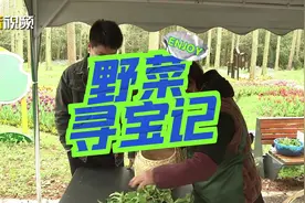 野菜？野草？傻傻分不清楚。#崇明 东平国家森林公园野菜季来袭视频封面