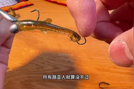 尾巴带钩，鱼生堪忧 改装增加了一枚尾钩的铅头钩T尾泥鳅软饵视频封面