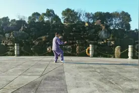 完整的二十四式内功练法视频封面