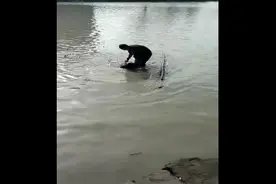 #秀洲警事 母子吵架 气到跳河#吵架 #警察 #救人视频封面