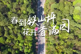 春到铁山坪，花开香满园，花期有限切勿错失视频封面
