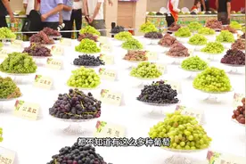 吐鲁番的葡萄熟了，200多种葡萄你吃过几种？#新疆美食视频封面