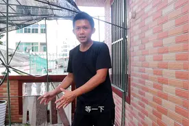 检查蜜蜂的时候，蜂王飞走了怎么办，不要盖蜂箱，蜂王就会回来的视频封面