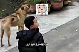 他转身就走了#看一遍笑一遍 #万万没想到 #搞笑配音视频封面