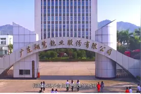 翔鹭钨业：高品位的企业和高品质的产品是我们永恒的追#翔鹭钨业视频封面