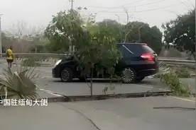愿世界安好。#十余名中国公民在缅甸地震中受伤 #幼小衔接 #汉字视频封面
