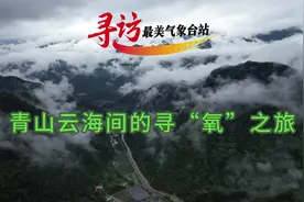 地处南北气候过渡带的陕西商洛，是“中国气候康养之都”，被誉为视频封面