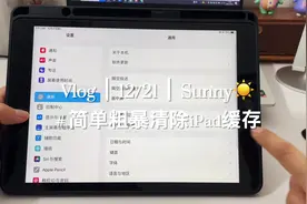 【iPad清理】iOS存储空间系统数据快速清理，真视频封面