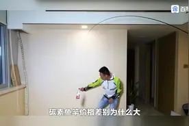鱼竿19调好还是28调好？请看视频详细讲解！#手感好腰力足视频封面