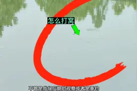 打窝是钓鱼之前的必走流程，所以正确的打窝能让你的鱼获更好。视频封面
