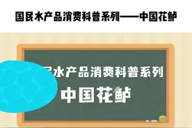 国民水产品消费科普系列—中国花鲈 #国民水产品消费促进行动