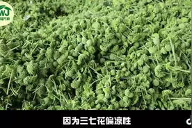 三七花：气微，味甘微苦，降血脂、降血压、减肥，防癌、抗癌视频封面