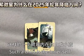 紫微星为什么在2025蛇年出现？ #塔罗 #塔罗测试 #阿紫 #紫微星视频封面
