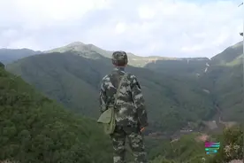 新春走基层 | 走进大山 感受护林员的巡山日常#大自然视频封面