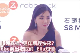 田馥甄演出取消，Ella知情并私底下有安慰视频封面