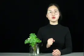 小麦白粉病怎么防治？用这个防病增产套餐前防后治产量高视频封面