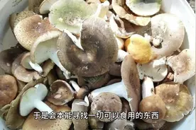 #中视频伙伴计划 #芦苇的功效