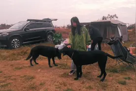 “等了三年，终见曙光，再见行程码。👋🏻再也不见 ”视频封面