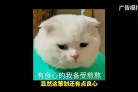 《躲避广告的游戏？策划真调皮！》#抖音小游戏 #广告模拟器视频封面