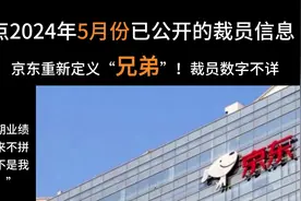 汇总2024年5月份单月公开的裁员信息 #裁员 #大厂  #京东视频封面