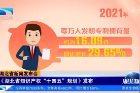 湖北省新闻发布会丨《湖北省知识产权“十四五”规划》发布视频封面