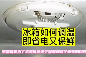 冰箱如何调节温度即省电又保鲜#冰箱维修 #知识分享 #冰箱视频封面