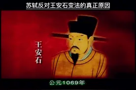 #康震揭秘：苏轼反对王安石变法的真正原因~视频封面