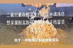 二氧化氯在榨菜生产工艺中清洗浸泡脱盐脱硫保鲜防腐的应用无残…视频封面