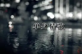 《单身情歌》是林志炫演唱的一首轻摇滚歌曲，
由易家扬作词视频封面