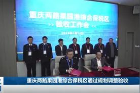 重庆两路果园港综合保税区通过规划调整验收视频封面