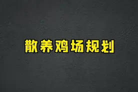 #农村创业养殖 #散养土鸡 散养鸡场规划视频封面
