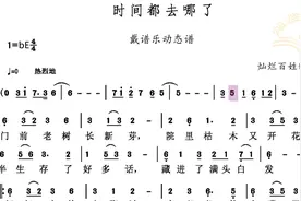 《时间都去哪了》杜银鲛示范的动态谱，掌握不好节奏，记不住谱子视频封面