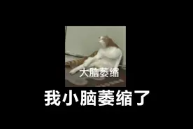 眠眠好可爱呀！拿远一点吧。 #崩坏星穹铁道  #等醒来再哭泣视频封面
