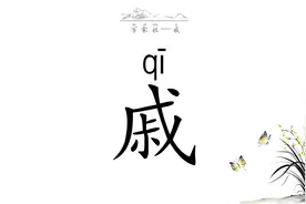 戚字笔画笔顺动画演示，百家姓戚#每日一字 #写字✍🏻视频封面