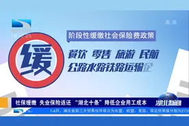 社保缓缴、失业保险返还……“湖北十条”降低企业用工成本视频封面