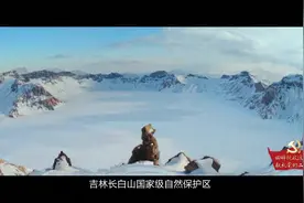 回眸税收这十年：税惠助力 长白山文旅产业焕发新活力视频封面