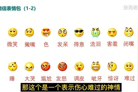 微信表情的含义视频封面