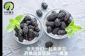 今日科普知识来咯！有“中华果王”“黑色人参”美称的——桑葚视频封面