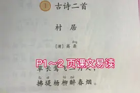 二年级语文下册 第一课 古诗二首视频封面