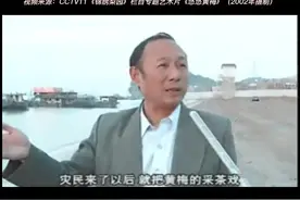 CCTV11《锦绣梨园》栏目播出的四集电视艺术片《悠悠黄梅》视频封面
