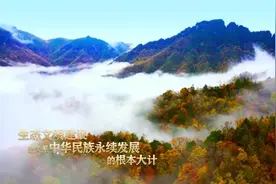 2023年8月15日是第一个全国生态日，让我们共同行动视频封面