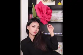她不是一朵普通的玫瑰，她是你的玫瑰#小王子#手工视频封面