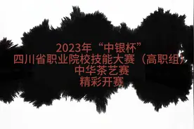2023年“中银杯”四川省职业院校技能大赛（高职组视频封面