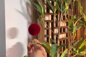 戏曲绒球制作过程 #非遗绒花 #手工diy #绒花 #手艺人视频封面