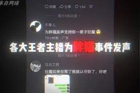 各大王者主播为胖猫事件发声视频封面