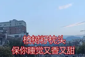 柏树子做个枕头，
保你睡觉又香又甜视频封面