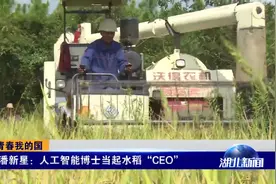 我的青春我的国丨85后潘新星：人工智能博士当起水稻“CEO”视频封面